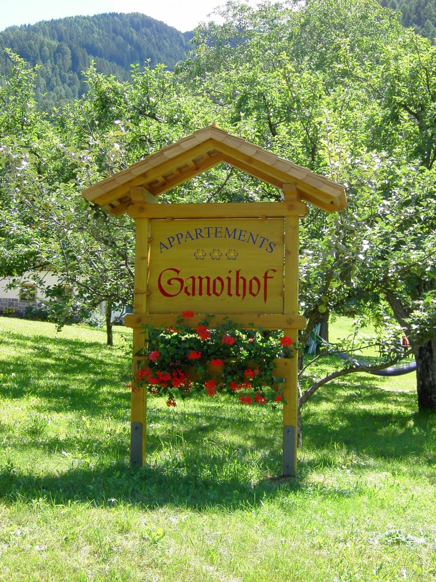 Ganoihof Apartments Funes  Exterior photo